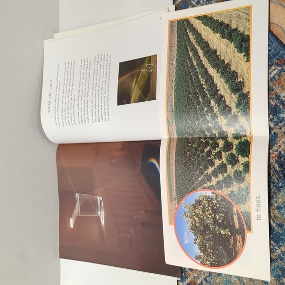 Scholastic Misc. Authors Children's Non Fiction Paperback Book Set of 5 Books - Picture 10 of 12